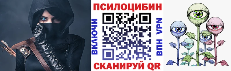 где купить наркотик  Сорск  Галлюциногенные грибы Psilocybine cubensis 